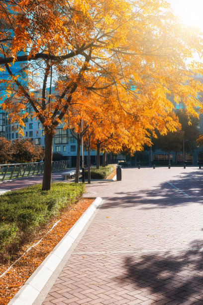 秋天的色彩城市公园图片下载