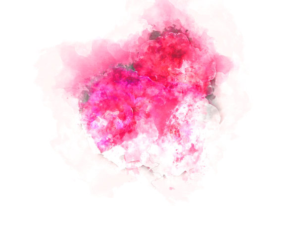 抽象的玫瑰粉红花朵盛开在彩色水彩画的背景和数字插图画笔艺术。图片下载