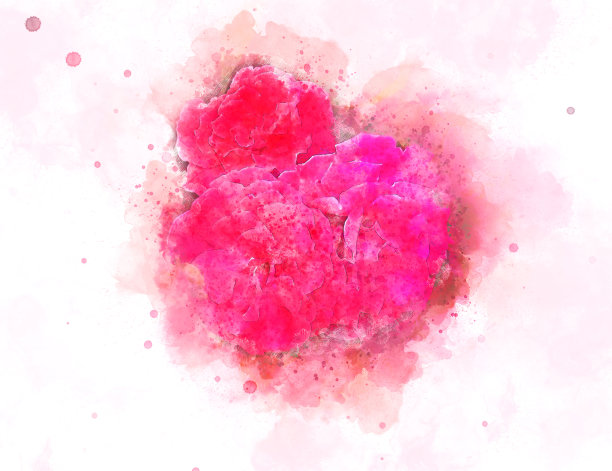 抽象的玫瑰粉红花朵盛开在彩色水彩画的背景和数字插图画笔艺术。图片下载