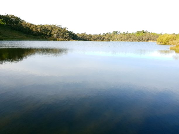 美丽平静的湖被灌木环绕图片下载