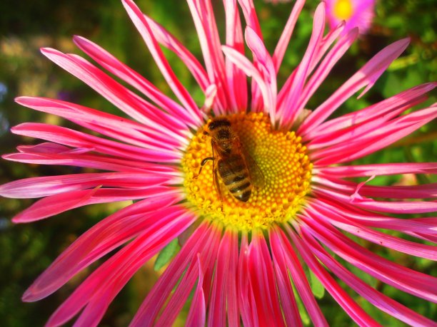 美就在身边图片下载