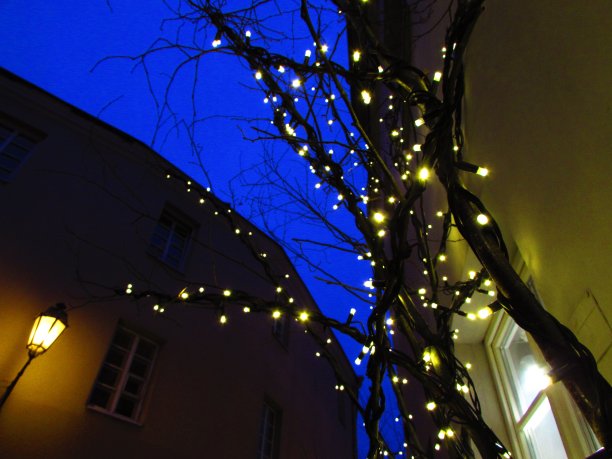 迷人的神奇的夜晚图片下载