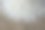 香米在袋子上。图片下载