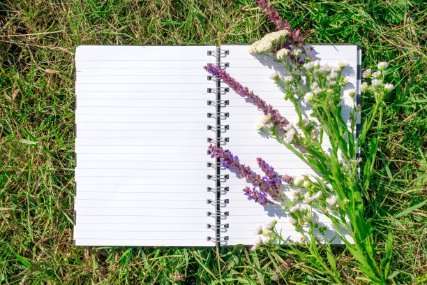 打开记事本，以绿色的草和罂粟花为背景的白纸。自然,生态模型。空白笔记本回收纸开两页带拷贝的空白区，草坪上有阳光图片下载