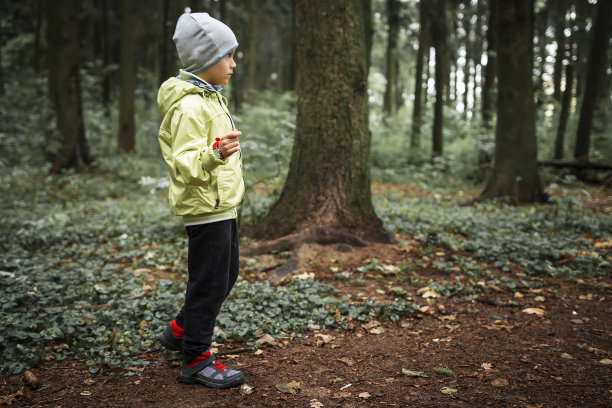 孩子独自在森林里。小男孩在黑暗的森林里迷路了图片下载