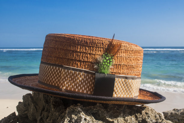 带海滩景色的草帽图片下载