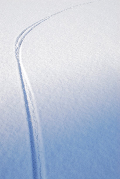 一个轮子马克图片下载