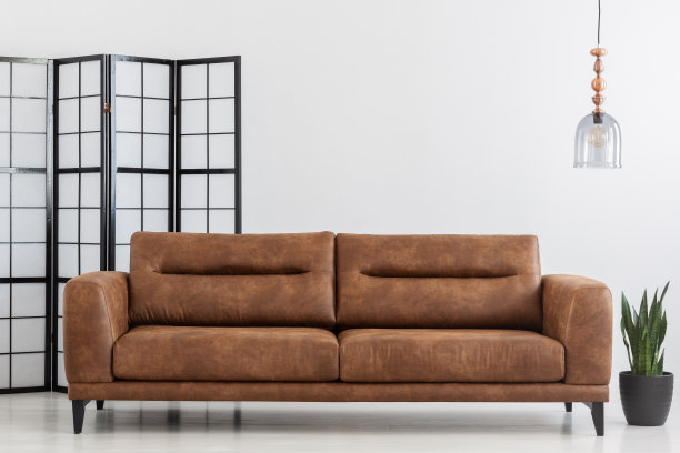 植物旁边的棕色皮沙发在白色简单的客厅内饰有灯和屏风。真实的照片图片下载