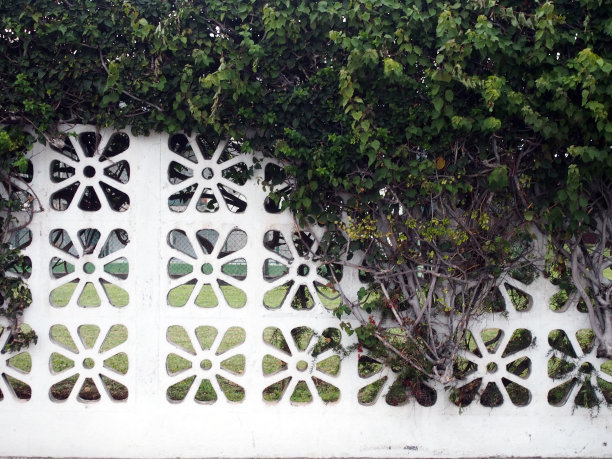 白色几何花园墙与图案的洞和攀缘灌木图片下载