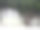 白色几何花园墙与图案的洞和攀缘灌木图片下载