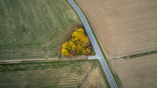 通过农业区的道路-鸟瞰图图片下载