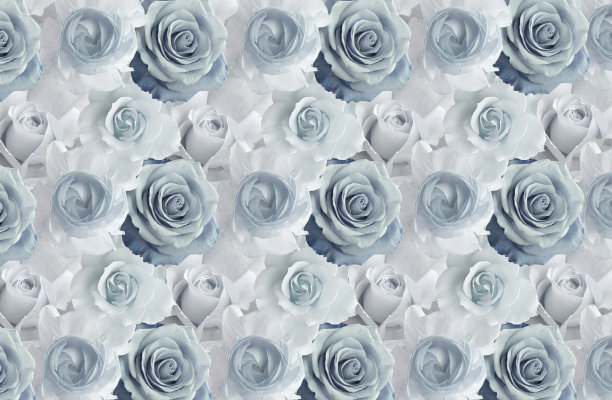 3d壁纸，美丽的蓝色玫瑰。图片下载