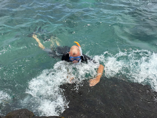 在夏威夷潜水图片下载