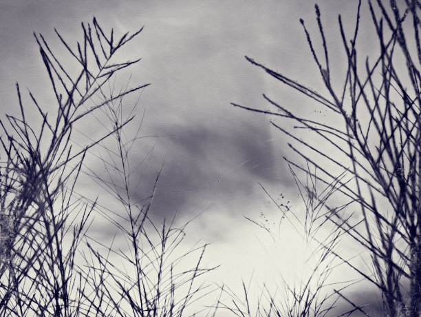 抽象彩色草花在水彩插画背景上。图片下载