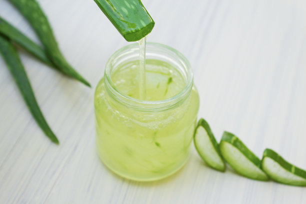 芦荟透明精华带鲜叶。图片下载