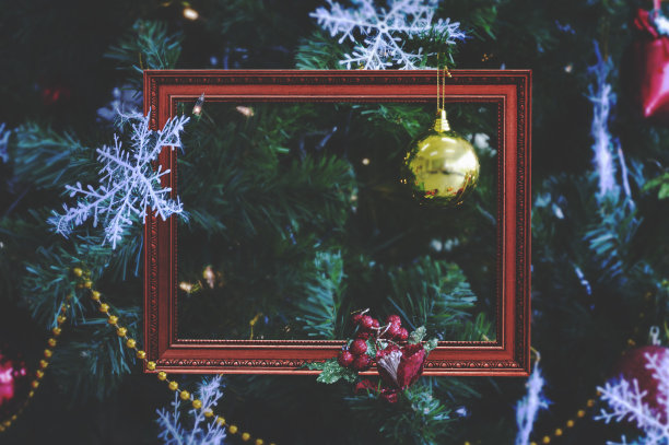 圣诞树树枝上的古董红框图片下载