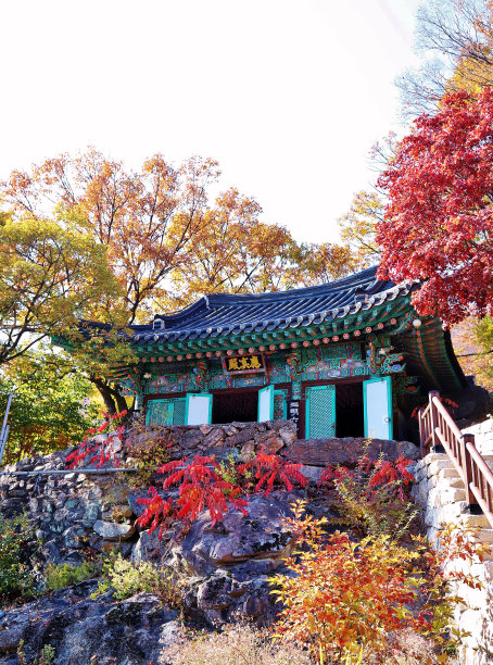 素宗沙的秋季景观图片下载