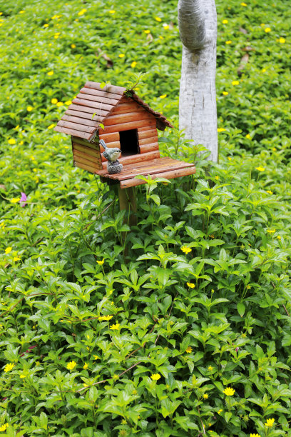 小鸟木屋在小花园里图片下载