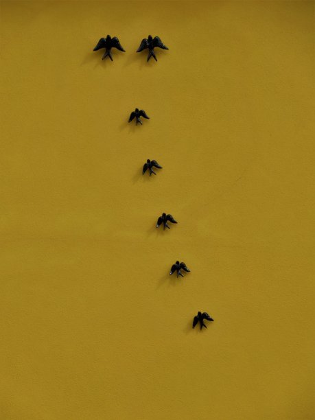 黄墙上的葡萄牙陶瓷燕子图片下载