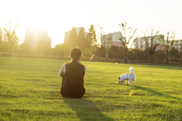 狗和女主人，公园背景图片下载