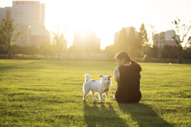 狗和女主人，公园背景图片下载