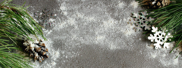 圣诞树和松果在雪地上的灰色背景为现场图片下载