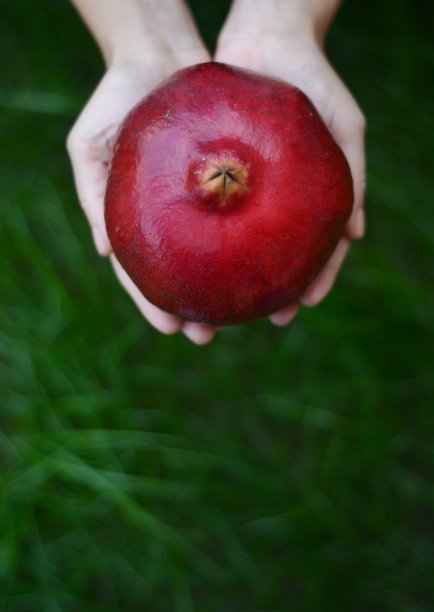 手里拿着石榴图片下载