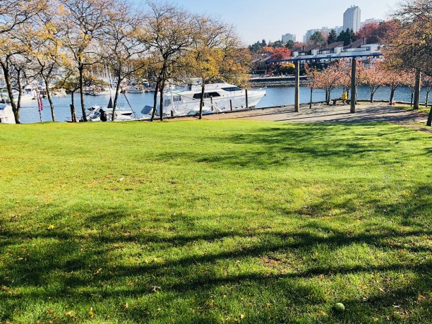 公园,船图片下载