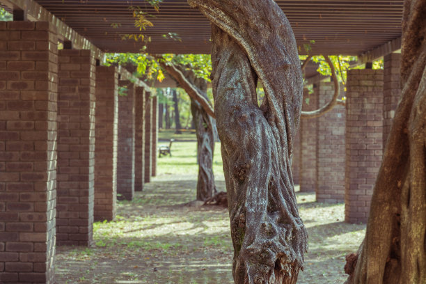 公园风景树木复古背景素材图片下载