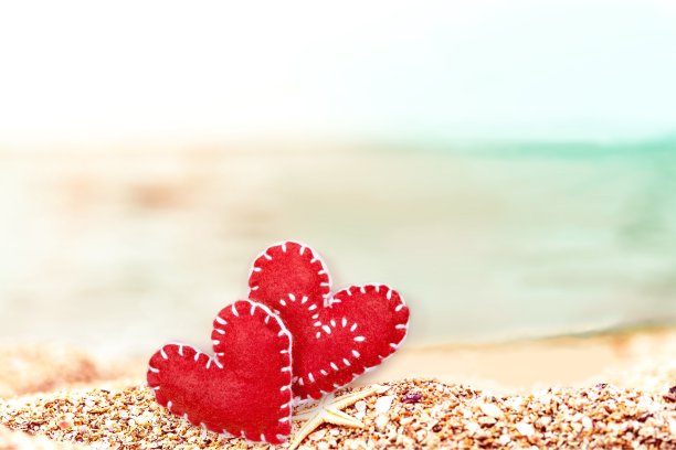 海滩。图片下载