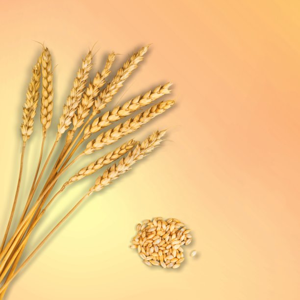 农业。图片下载