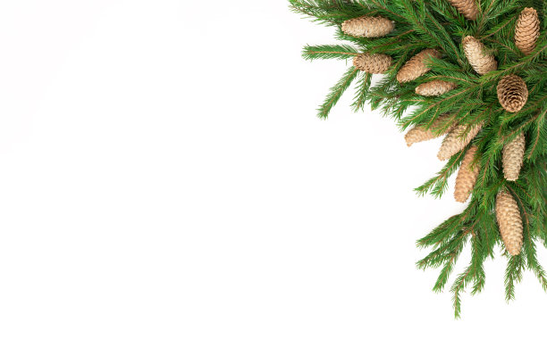圣诞框构图用礼盒、松果、冷杉树枝、孤立。平铺，俯视图，拷贝空间图片下载