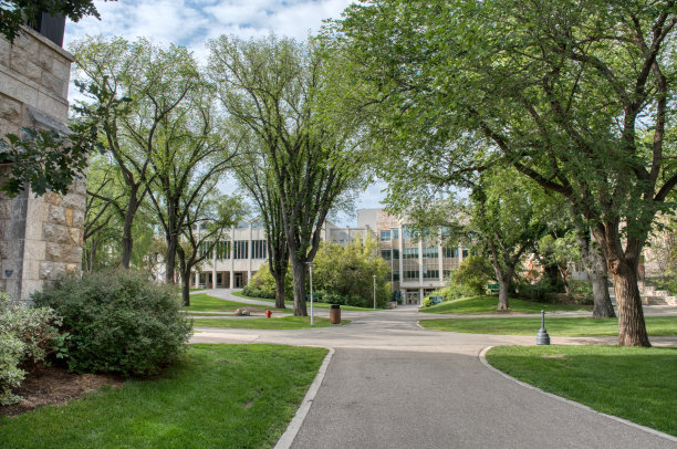 萨斯喀彻温大学的夏季通道图片下载