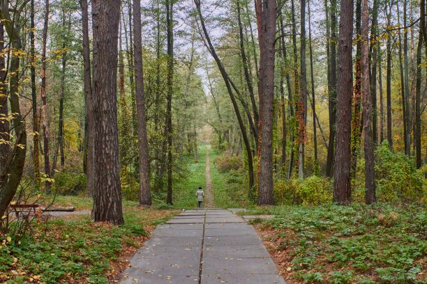 秋天公园里的人行道图片下载