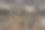 索拉诺图片下载