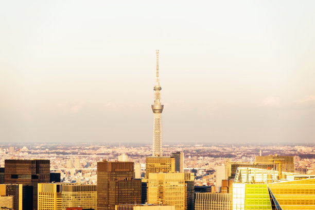 夕阳下的东京塔和城市天际线图片下载