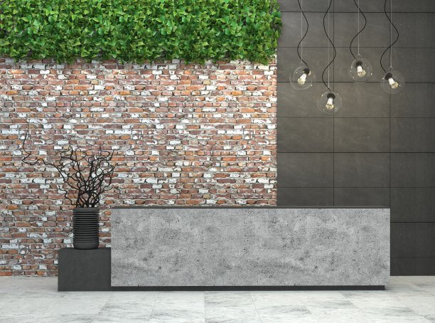 内部有一个阁楼风格的接待处。图片下载