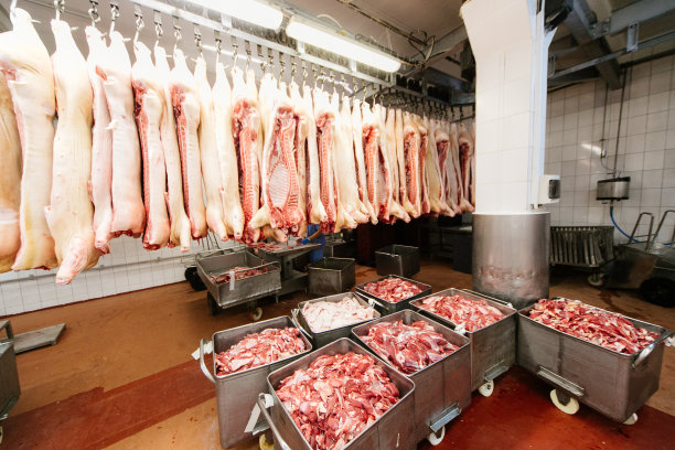 生肉工厂屠宰的猪肉图片下载