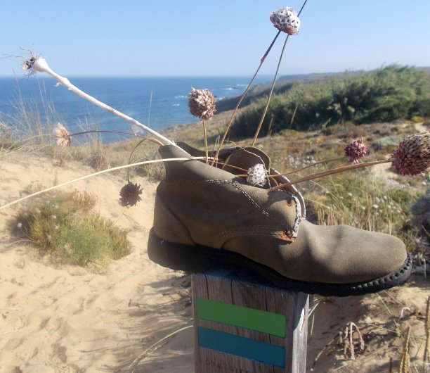 鞋子放在路标上图片下载