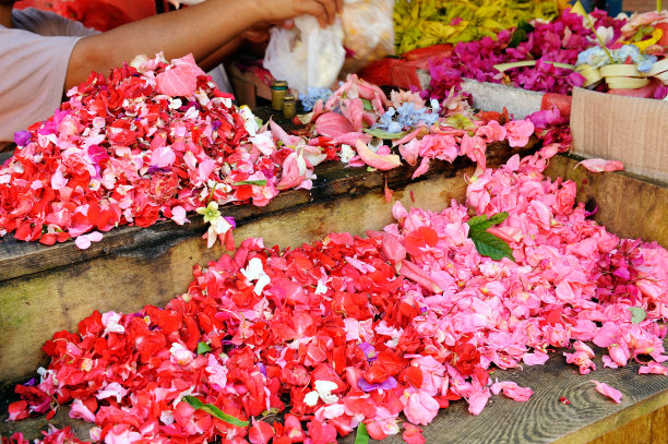 玫瑰花瓣图片下载