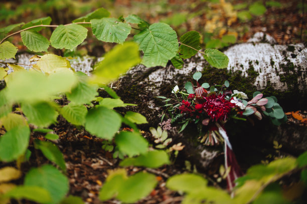 秋天，新娘捧花，秋天捧花，婚礼，图片下载