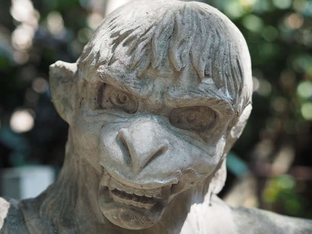 巴厘岛森林里的猴子雕像图片下载