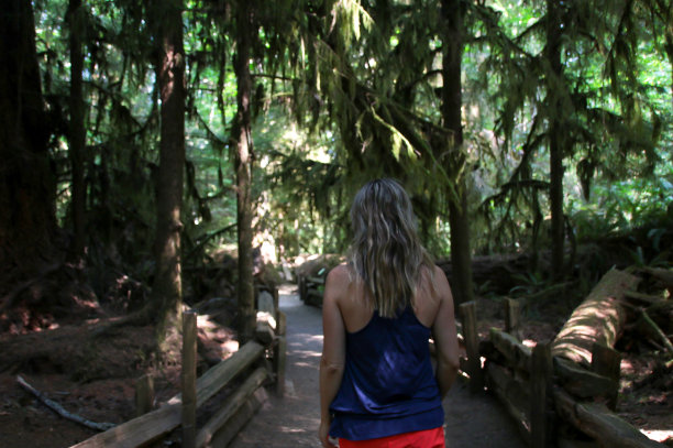 在老森林里锻炼的女人图片下载