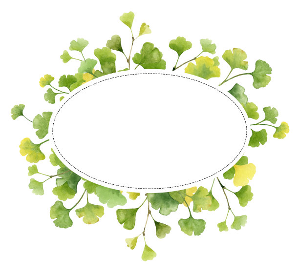 水彩银杏框。图片下载