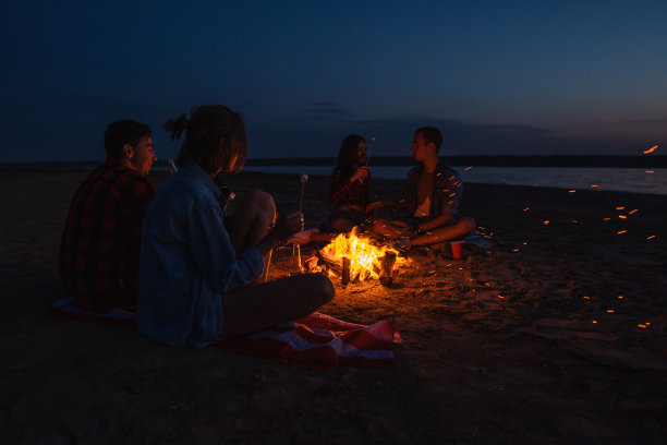 年轻的朋友们在海滩上篝火野餐图片下载