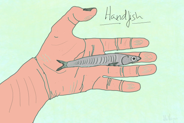 手鱼图片下载