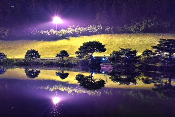 VD702池塘周围的夜径图片下载