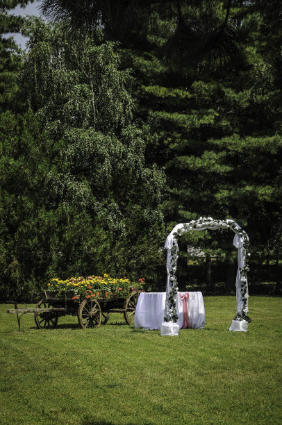 婚礼的细节图片下载