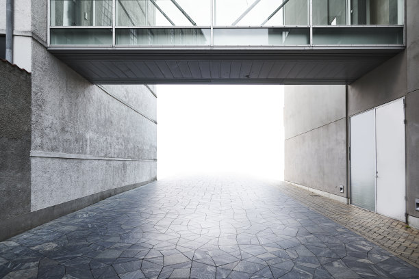 由桥连接的建筑物图片下载