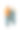 后视图夫妇携带购物手推车与产品隔离在白色图片下载